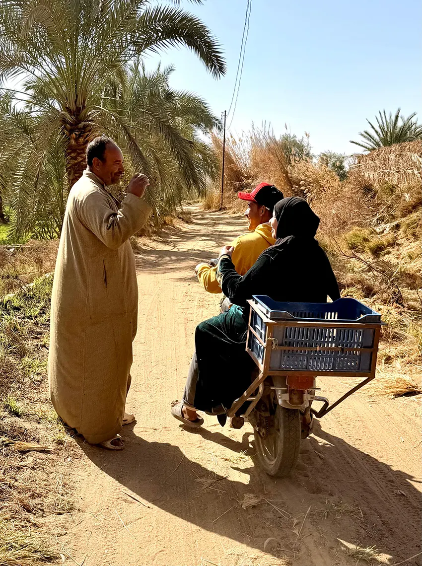 Bedouin life 3